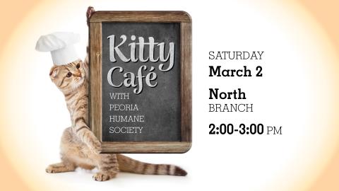 kitty cafe