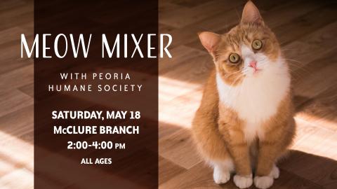 meow mixer