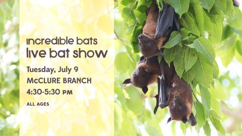 bat show