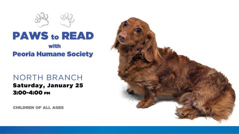 paws to read